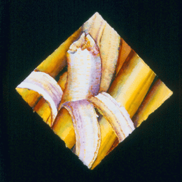 A Banana Bite 